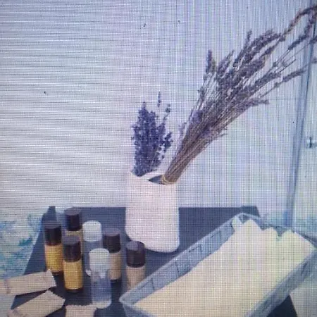 Apartamento Casa Centro Bolonia